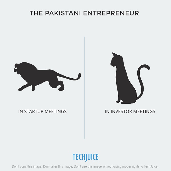 The Pakistani Entrepreneur 5