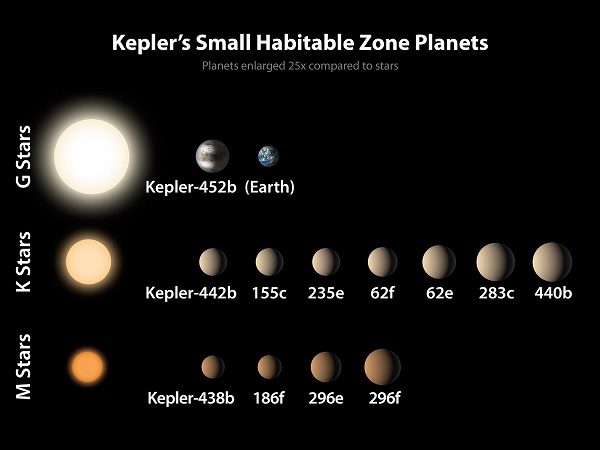 Kepler Stars