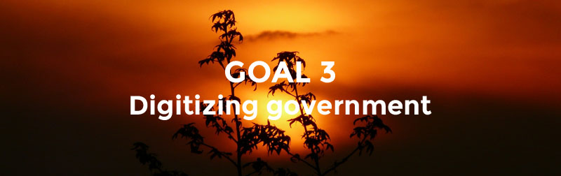 Goal 3 - Realising Digital Pakistan