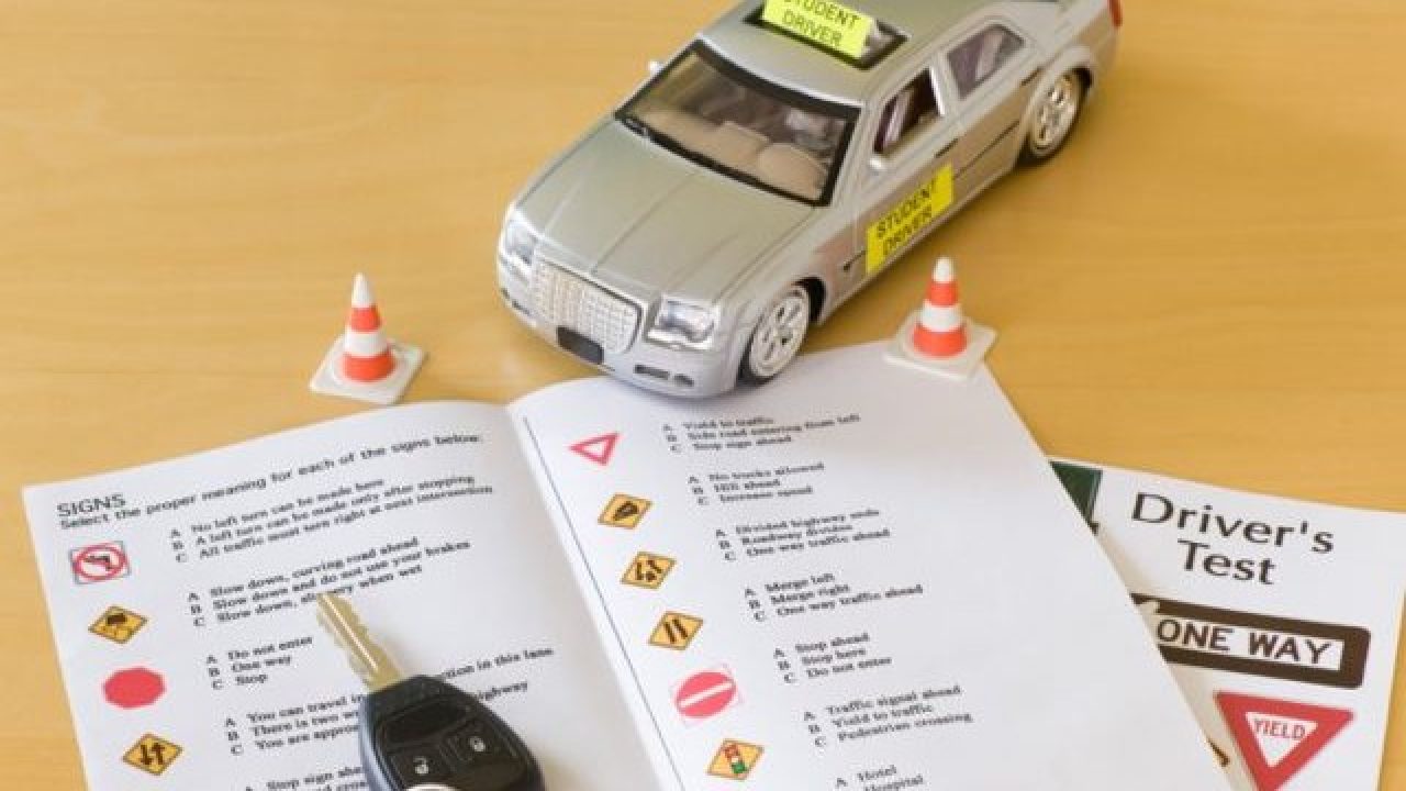 Punjab driving licence check online