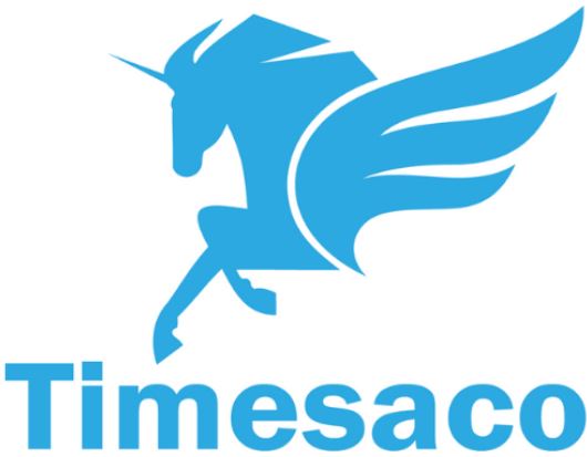 timesaco-techjuice