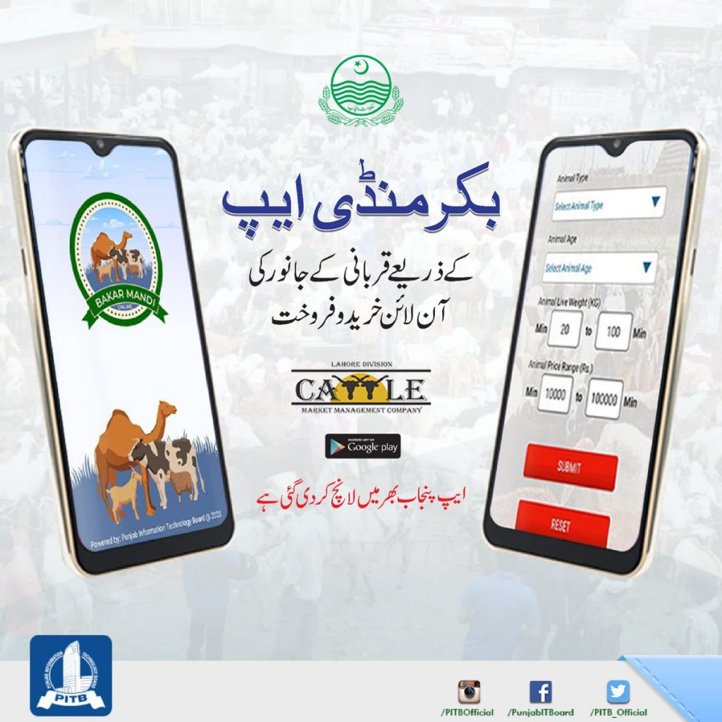 Bakar-Mandi-App-PITB-LDMMC-TechJuice